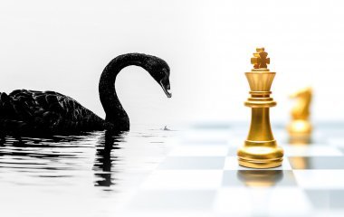 Decision-Making in a Time of Uncertainty